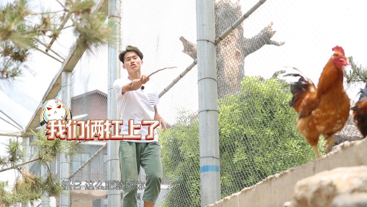 球场欧文,欧文或将归队