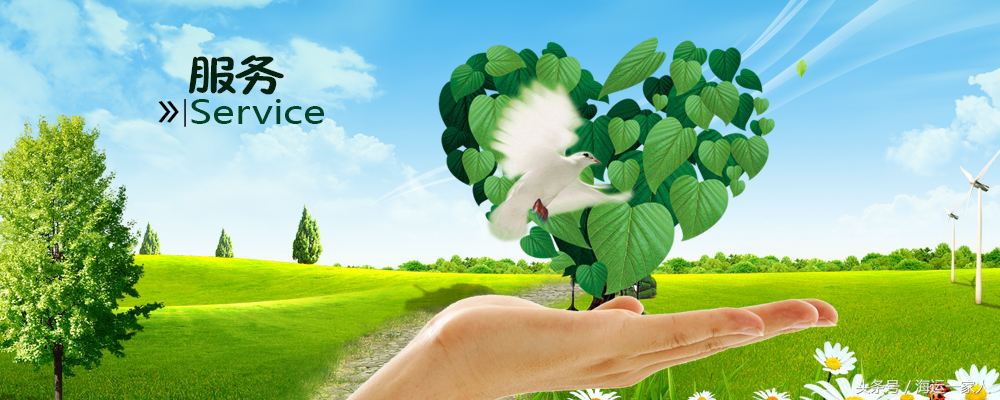 加拿大海运运输,加拿大附近国际海运运输流程