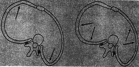 针灸治疗脊柱侧弯的最好方法,脊柱侧弯如何治疗才正确有效