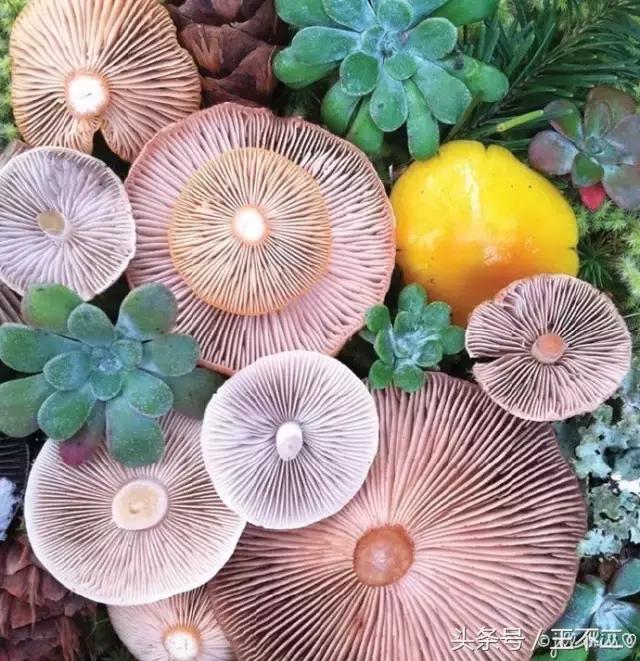 开挂的人生是要靠自己,开挂的人生从来绝非偶然