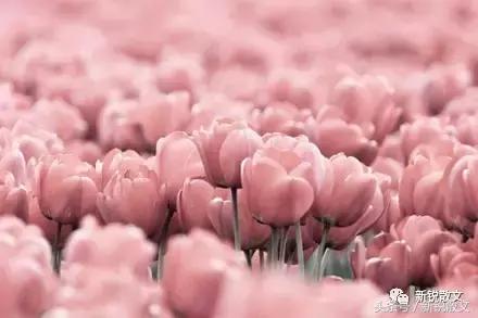 文登有意思的地方,来威海必须去的景点