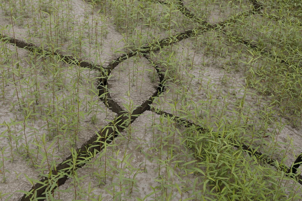 大武汉系列之武汉冶炼厂,大武汉系列之武汉印染厂