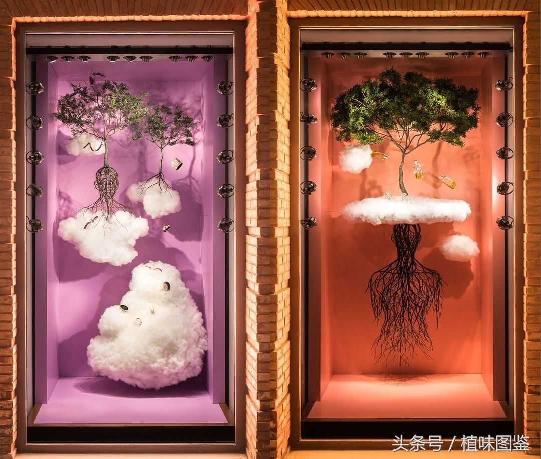 世界顶级奢侈品橱窗,不出家门一分钟尝遍世界咖啡