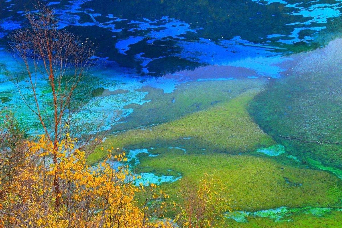 金山岭长城最美时间,金山岭长城景色哪段最美