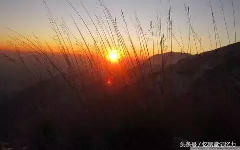 中小学语文文学常识,语文必考文学常识