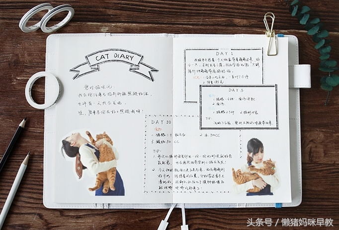 6岁幼儿绘本制作教程,绘本推荐9-12岁绘本制作