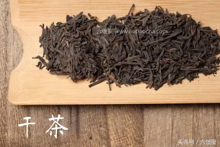 「围观」老茶与你的故事，即将开始