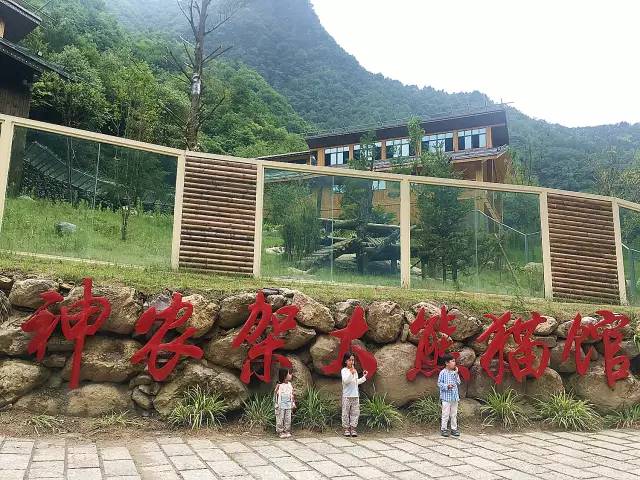 北纬30°神秘之境,在高山草甸、追逐鹿群,这里美的像天堂!