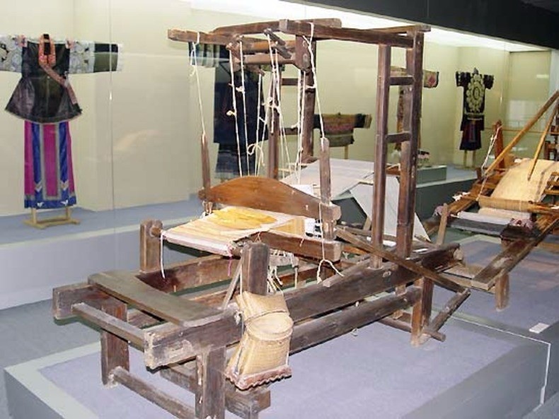 全国唯一的国家级大学博物馆,全国第一家高校博物馆