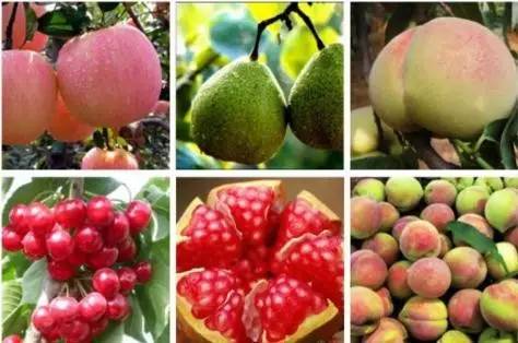 山东烟台值得去吗,烟台哪个区最值得去