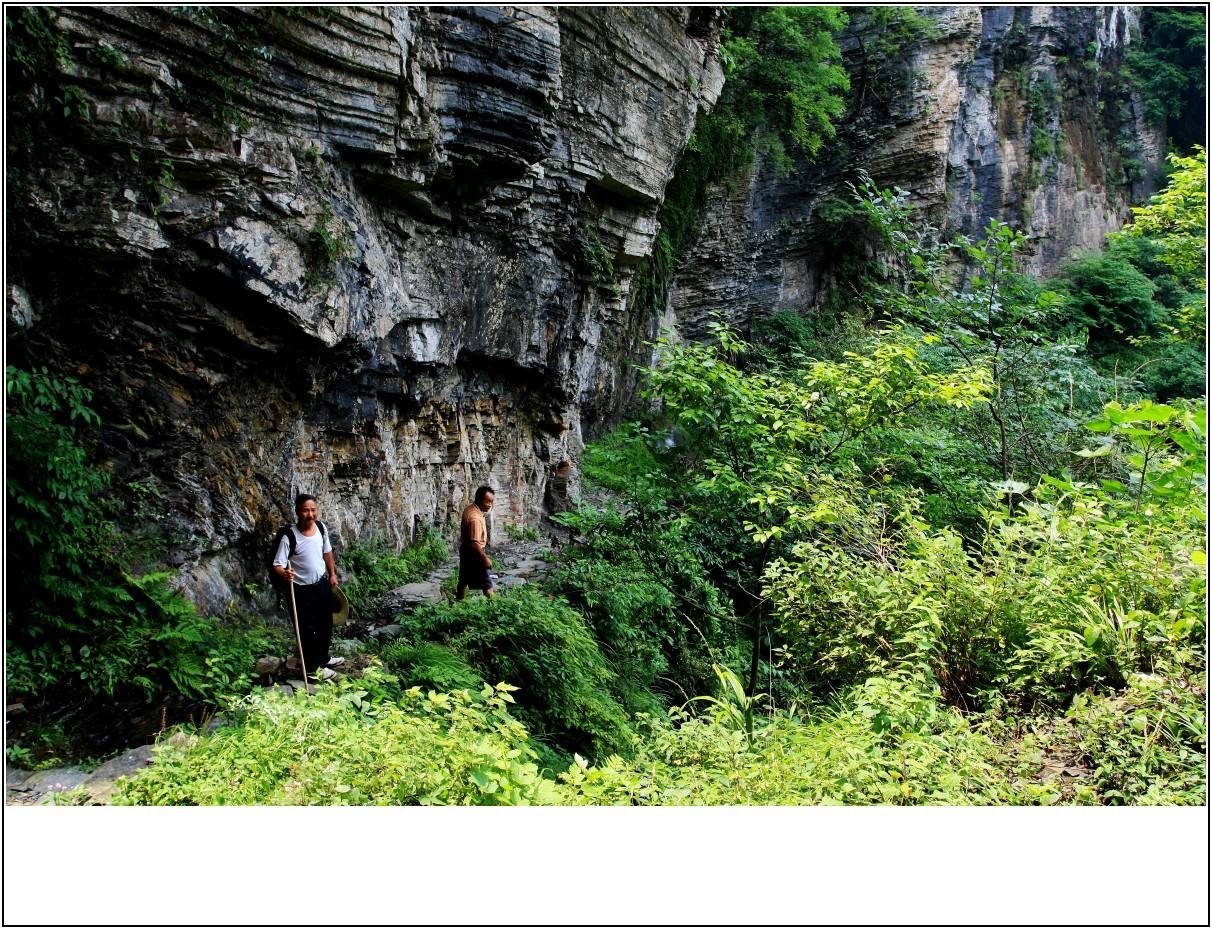 大山里的独户人家致富经,致富经山沟里走出的创业路