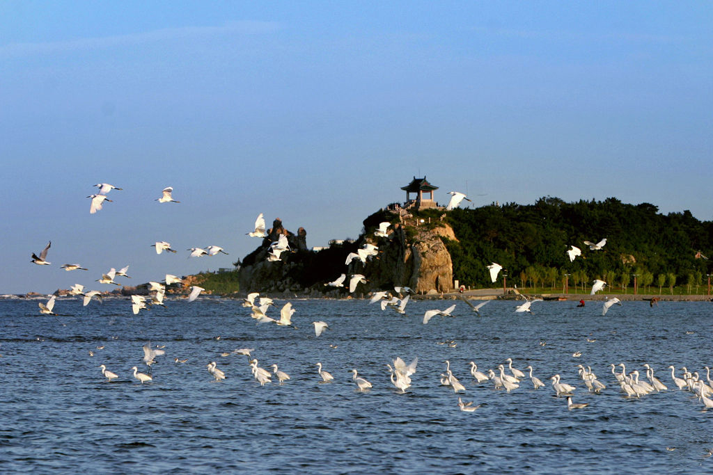 北戴河的鸽子窝公园,北戴河鸽子窝公园之旅