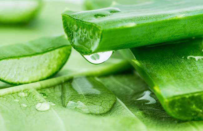 日常生活中黄金美容食物大全,十种美容抗衰老食物