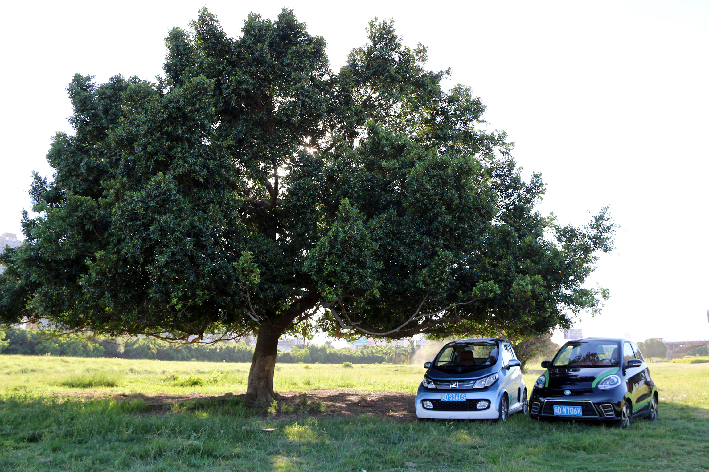 共享汽车悄然入驻泉州南安，4个投放点，你家附近有吗？