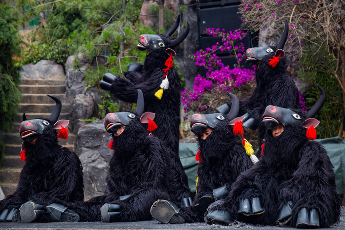 各种花样玩法大全,花样的玩法后续