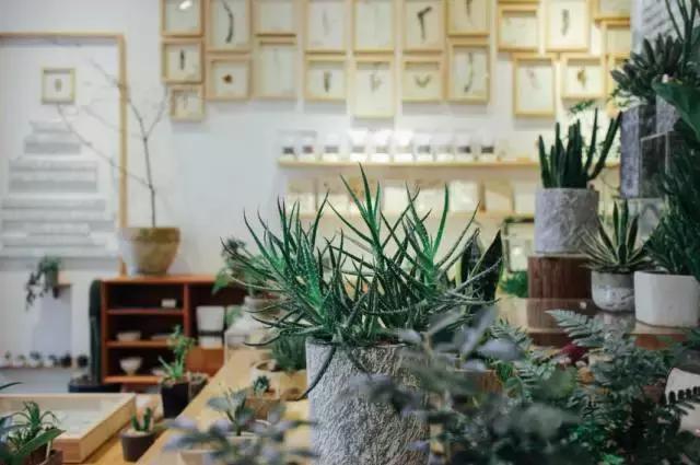 不泡酒吧泡茶社，成都这6家文艺茶社里藏着年轻人的诗和远方