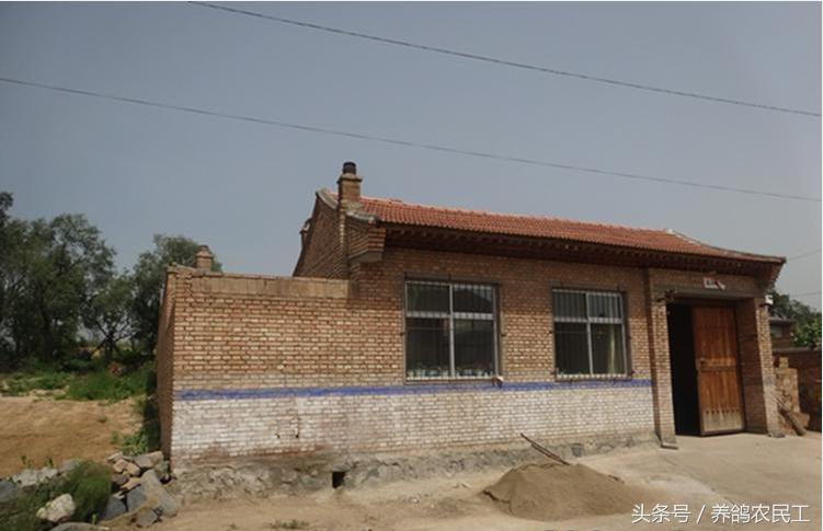 养鸽农民工探访资深鸽友，毫无保留的倾囊相授信鸽可以这样玩！