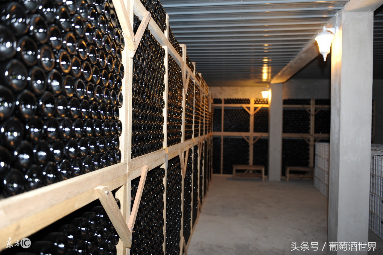 柏图斯酒庄名品介绍,柏图斯petrus