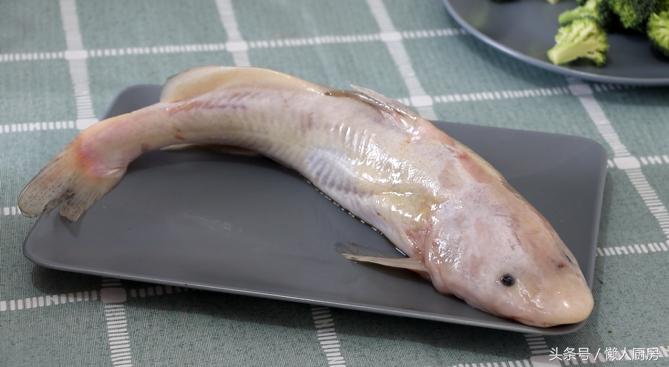 第一次见白丝鱼,第一次见到野生鱼