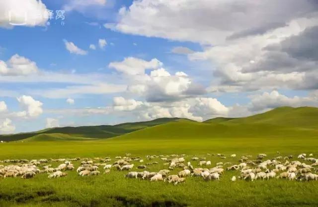 川西最美秋景,四川最美秋景
