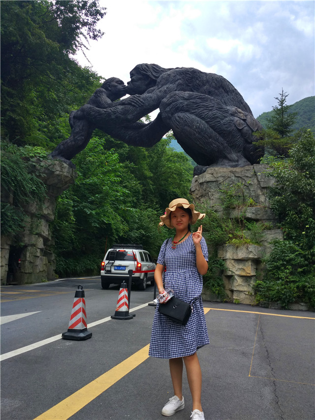 近期神农架自驾游攻略,2020年6月神农架大九湖自驾游攻略