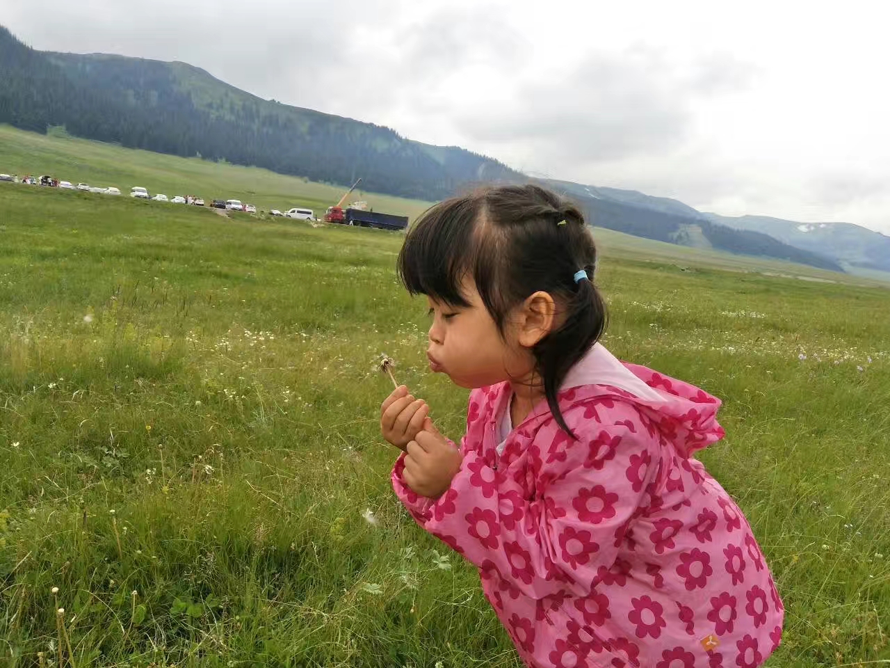 天津塘沽的回忆,天津塘沽名胜古迹