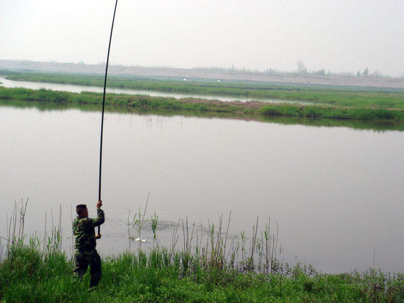 专家说鱼头小孩不能吃,鱼头哪一部分是小孩不能吃的