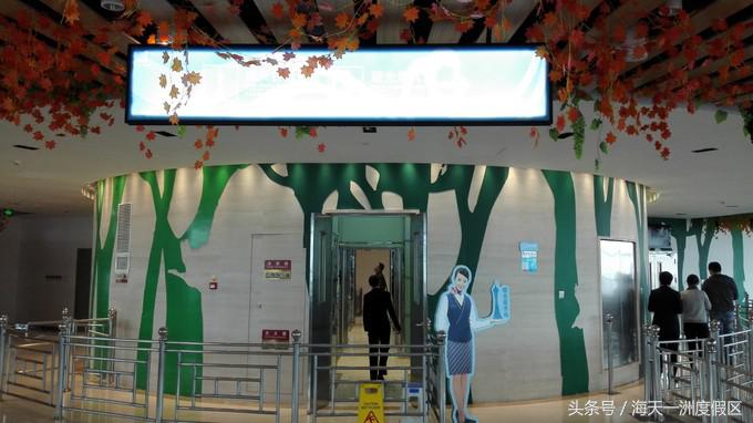 杭州自驾到舟山旅游攻略,杭州湾自驾游一日游