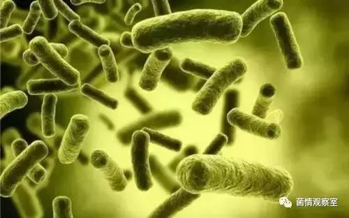 一项益生菌治疗自闭症的前瞻性开放标签临床研究