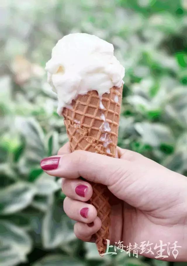 上海网红冰淇淋,上海必去的网红冰淇淋