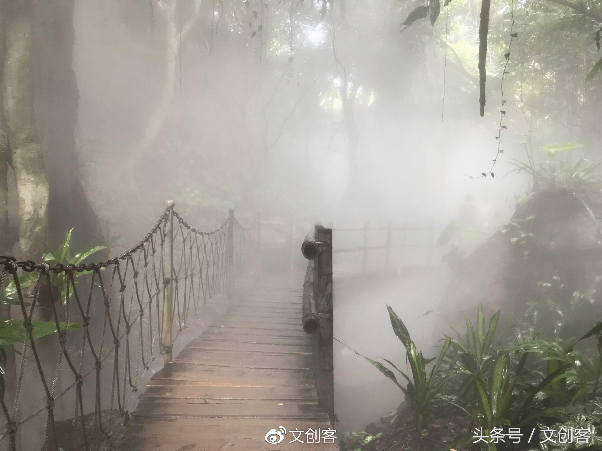 深圳青青世界累吗,深圳青青世界夏天热吗