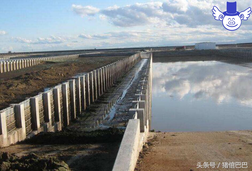 养猪污染的问题能解决吗,养猪如何降低空气污染