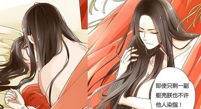 企鹅娘全部小说,企鹅娘动画全部