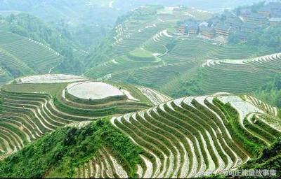 神医深山救治妇人故事,深山寻药真实故事