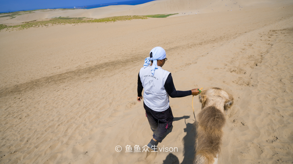 日本东京大阪最值得去的地方,日本大阪深度游攻略