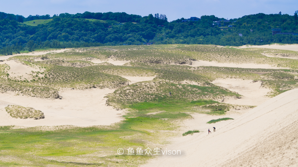 这里是日本,日本旅游柯南故乡