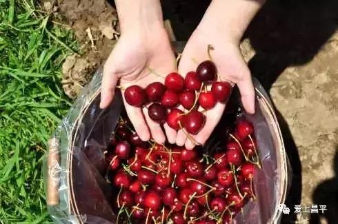 我们是谁原版,我们是谁完整版