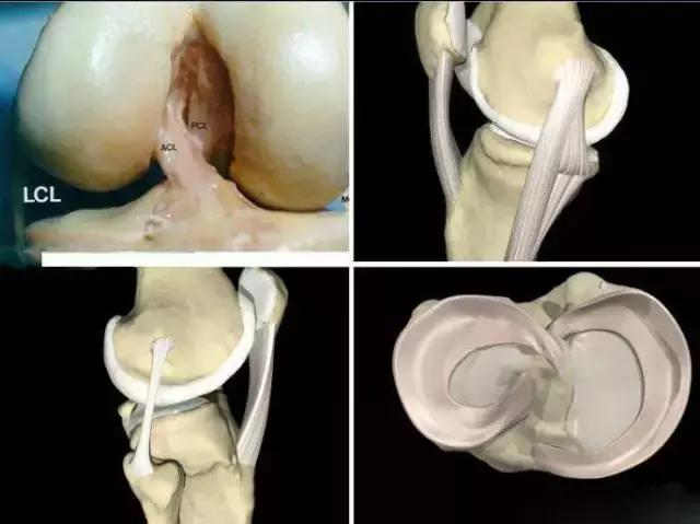膝关节疼痛的22种疾病,膝关节疼痛警惕四种病35岁