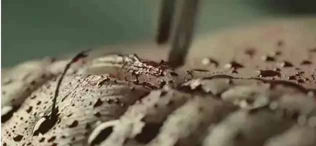 李易峰善解人意,心理罪电影在线观看李易峰