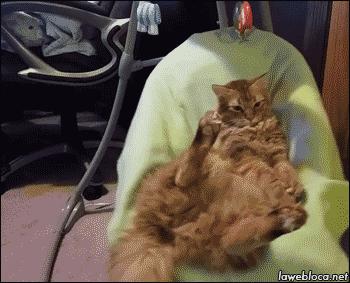 别跟我谈什么梦想我只想躺赢,别跟我谈什么梦想