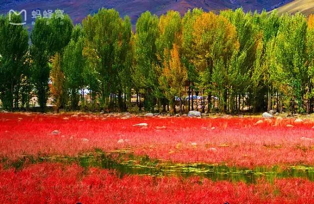 川西最美秋景,四川最美秋景
