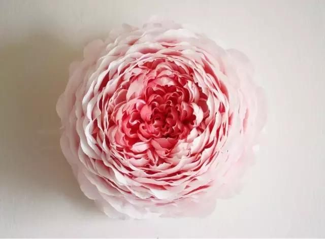 会枯萎腐烂的仿真花,会枯萎的花有什么