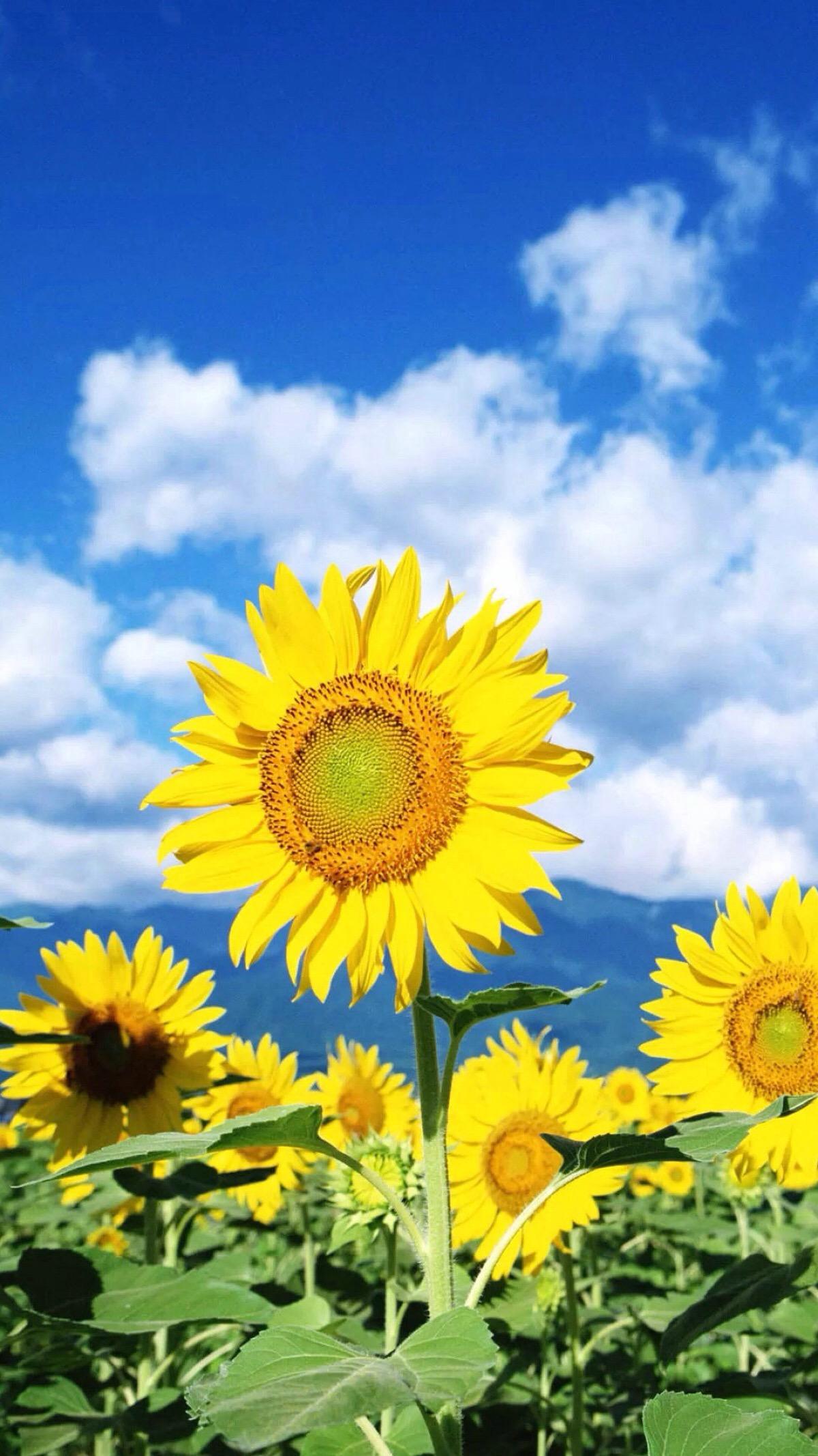 十个科普小知识,100个必学的科普知识