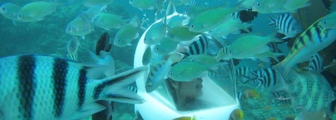 月薪3000去菲律宾当土豪,3000月薪菲律宾