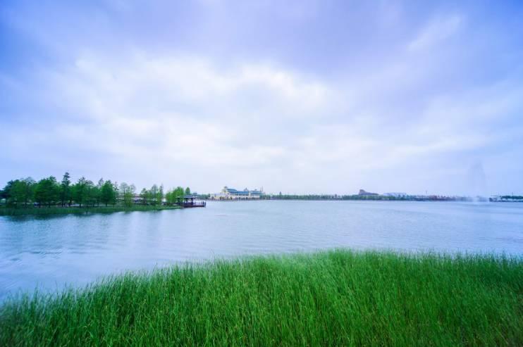 去上海迪士尼玩的详细攻略,去上海迪士尼玩一天的攻略