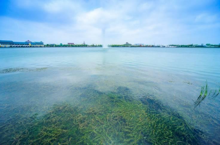 去上海迪士尼玩的详细攻略,去上海迪士尼玩一天的攻略