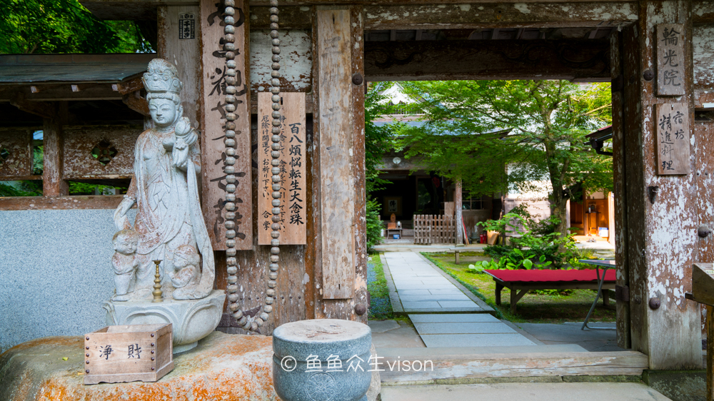 日本东京大阪最值得去的地方,日本大阪深度游攻略