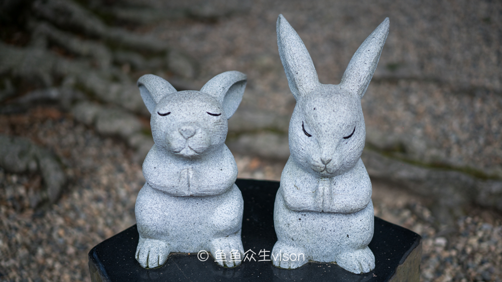 日本东京大阪最值得去的地方,日本大阪深度游攻略