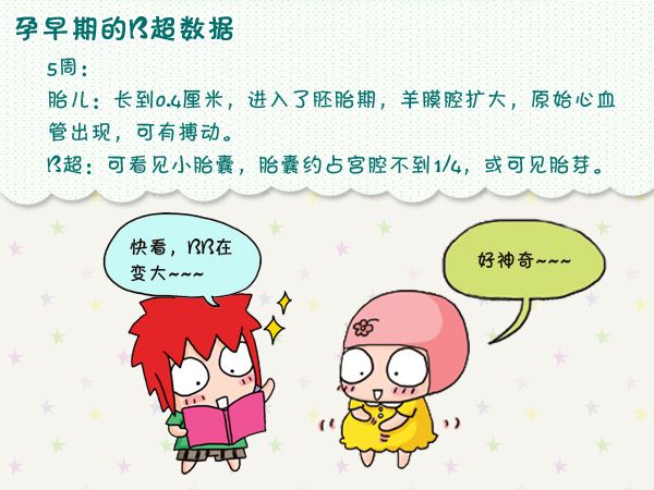 b超单为什么只有一个图,教你怎么看懂b超单