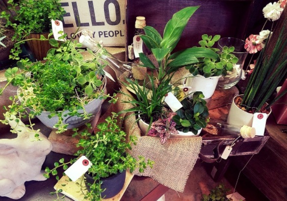 赵丽颖和杨幂白西装,别人家的男友